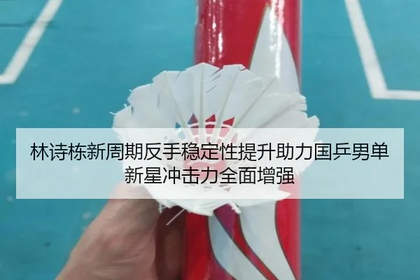 林诗栋新周期反手稳定性提升助力国乒男单新星冲击力全面增强